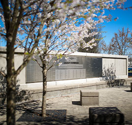 Photo of tree in front of building. Link to Gifts by Estate Note.
